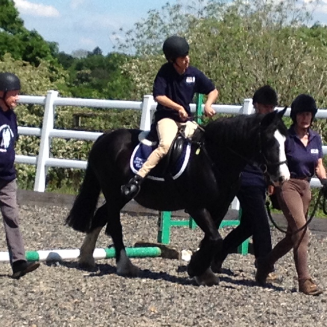 Max gains 90% in the Showjumping!