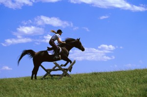 Equestrian and Horse Jumping