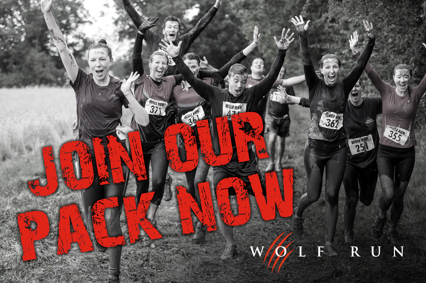 Post image for Want to have fun and help us raise funds – Be part of our pack in the Wolf Run!