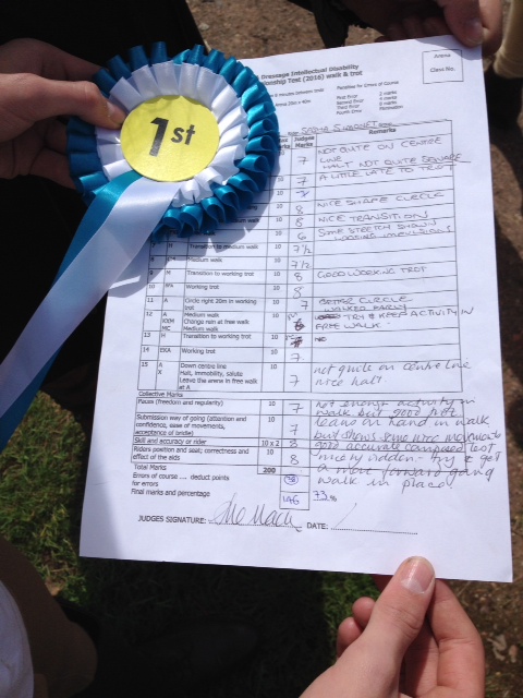 Post image for Successful dressage debut!