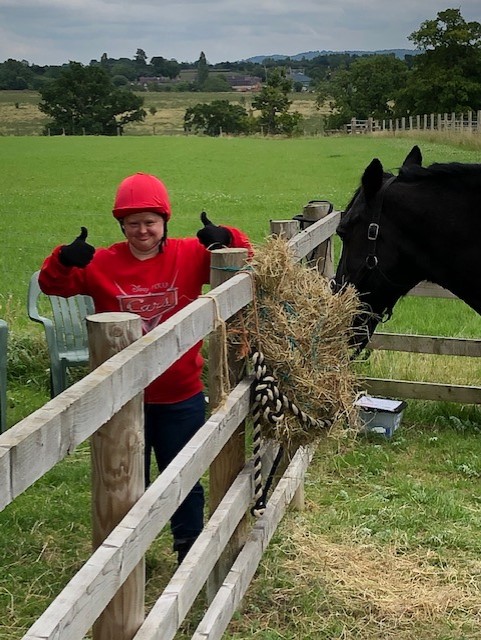 Post image for Another busy day at the stables