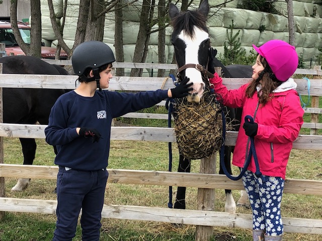Thumbnail image for Exciting Day! Riders meet their ponies!