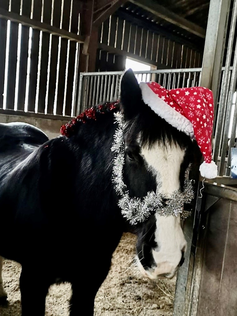 Post image for Christmas session a hit!