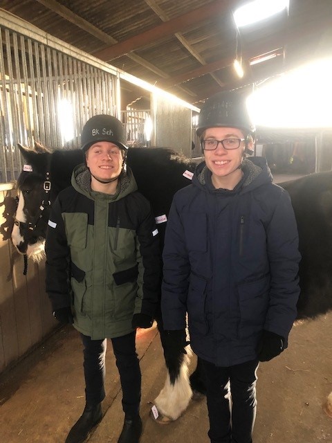 Post image for Well done Ellis & Louis