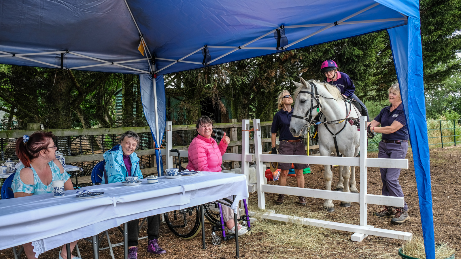 Post image for Lovely day for ‘tea with a pony’