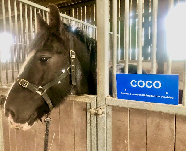 Post image for Welcome to the team Coco!