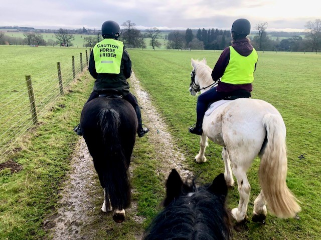 Thumbnail image for Our ponies say ‘Thank you’